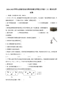 2024-2025学年山西省长治市泽州县部分学校九年级（上）期末化学试卷-自定义类型