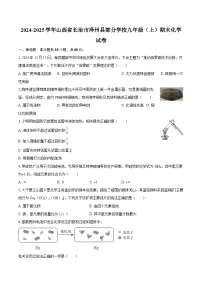 2024-2025学年山西省长治市泽州县部分学校九年级（上）期末化学试卷-自定义类型