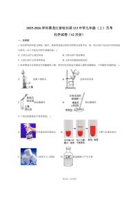 2025-2026学年黑龙江省哈尔滨市113中学九年级（上）月考化学试卷（12月份）（有答案）