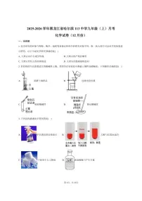 2025-2026学年黑龙江省哈尔滨市113中学九年级（上）月考化学试卷（12月份）（有答案）