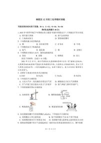 2025-2026学年江苏省苏州市张张家港市第二中学九年级上学期12月月考化学试题(,有答案)