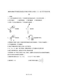 2025-2026学年湖北省武汉市部分学校九年级（上）月考化学试卷（12月份）（有答案）