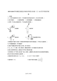 2025-2026学年湖北省武汉市部分学校九年级（上）月考化学试卷（12月份）（有答案）