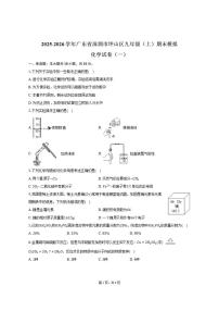 2025-2026学年广东省深圳市坪山区九年级（上）期末化学模拟试卷（一）（有答案）