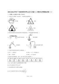 2025-2026学年广东省深圳市坪山区九年级（上）期末化学模拟试卷（二）（有答案）