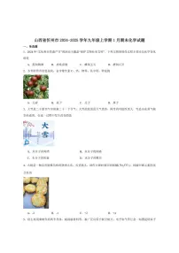 2024-2025学年山西省忻州地区九年级上学期期末考试化学试卷（有答案）