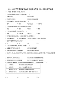 2024-2025学年吉林省白山市长白县九年级（上）期末化学试卷-自定义类型