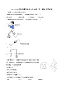 2025-2026学年西藏日喀则市九年级（上）期末化学试卷-自定义类型