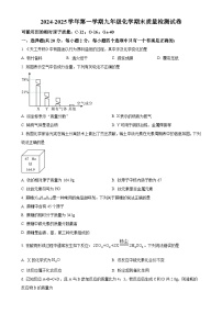甘肃省武威三中教育集团联片教研九年级上学期期末化学试题（原卷版）-A4