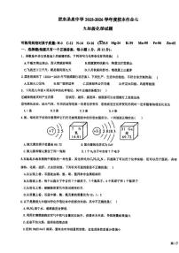 安徽省合肥市肥东县圣泉中学2025-2026学年九年级上学期1月月考化学试题