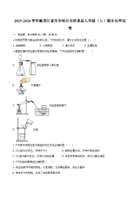 2025-2026学年黑龙江省齐齐哈尔市拜泉县九年级（上）期末化学试卷-自定义类型