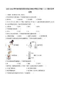 2025-2026学年吉林省松原市扶余市部分学校九年级（上）期末化学试卷-自定义类型