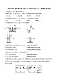 2025-2026学年吉林省长春103中学九年级（上）期末化学试卷-自定义类型