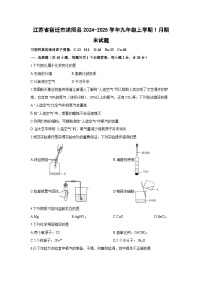2024-2025学年江苏省宿迁市沭阳县九年级上学期1月期末化学试卷（学生版）