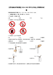 2024-2025学年江苏省南京市鼓楼区九年级上学期期末化学试卷（学生版）