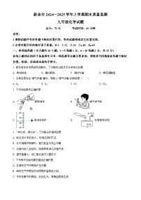 精品解析：江西省新余市2024-2025学年九年级上学期期末化学试题+答案
