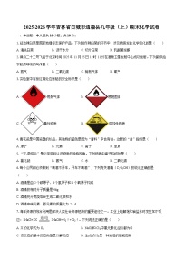 2025-2026学年吉林省白城市通榆县九年级（上）期末化学试卷-自定义类型