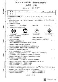 甘肃省天水市武山县2024-2025学年九年级下学期开学摸底考试化学试题