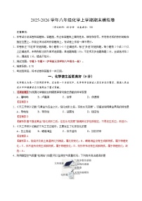八年级化学上学期期末模拟卷01（新教材沪科版五四学制）+答案