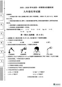 陕西省榆林市佳县2025-2026学年九年级上学期期末质量检测化学试题（含答案）