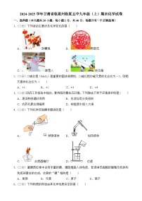 甘肃省临夏市第五中学2024-2025学年九年级上学期期末考试化学试卷-A4