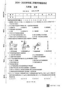 甘肃省天水市秦安县2024-2025学年九年级下学期开学摸底考试化学试题