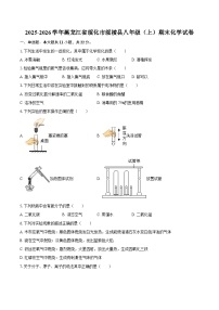 2025-2026学年黑龙江省绥化市绥棱县八年级（上）期末化学试卷-自定义类型