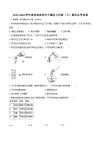 2025-2026学年吉林省吉林市丰满区九年级（上）期末化学试卷-自定义类型