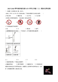 2025-2026学年吉林省长春153中学九年级（上）期末化学试卷-自定义类型