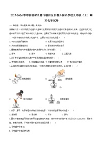 2025-2026学年吉林省长春市朝阳区长春外国语学校九年级（上）期末化学试卷-自定义类型