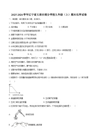 2025-2026学年辽宁省大连市部分学校九年级（上）期末化学试卷-自定义类型