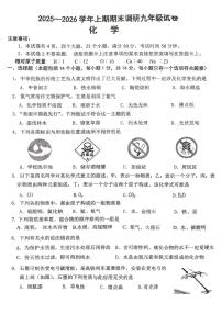 河南省周口市西华县2025-2026学年九年级上学期1月期末考试化学试题