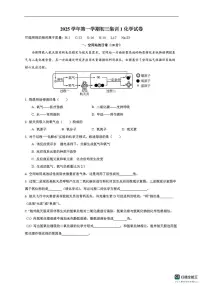 上海市延安初级中学2025-2026学年九年级上学期期末集训化学试卷