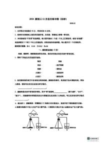 上海市同济大学附属澄衷中学2025-2026学年九年级上学期12月月考化学试卷
