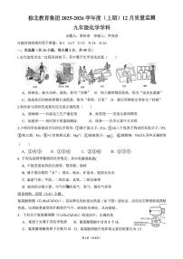 四川省成都市棕北中学2025-2026学年九年级上学期12月月考化学试题