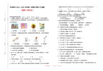 2024-2025第一学期九年级化学月考试题
