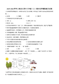 2025-2026学年上海交大附中八年级（上）期末化学模拟练习试卷（含答案）