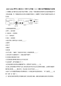 2025-2026学年上海交大二附中九年级（上）期末化学模拟练习试卷（含答案）