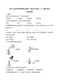 2025-2026学年吉林省长春市二道区九年级（上）期末化学试卷（含答案）