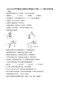 2025-2026学年黑龙江省绥化市望奎县九年级（上）期末化学试卷（含答案）