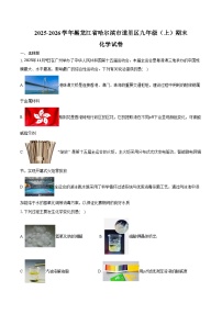 2025-2026学年黑龙江省哈尔滨市道里区九年级（上）期末化学试卷（五四学制）（含答案）