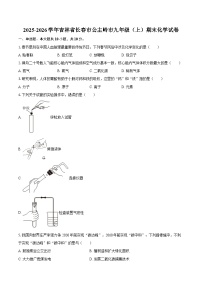 2025-2026学年吉林省长春市公主岭市九年级（上）期末化学试卷-自定义类型
