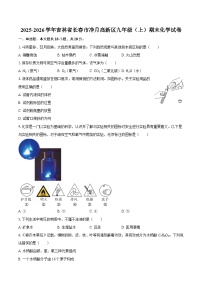 2025-2026学年吉林省长春市净月高新区九年级（上）期末化学试卷-自定义类型