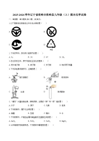 2025-2026学年辽宁省铁岭市铁岭县九年级（上）期末化学试卷-自定义类型