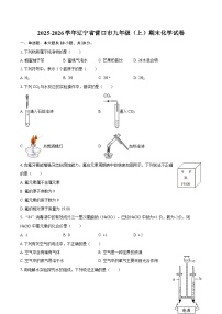 2025-2026学年辽宁省营口市九年级（上）期末化学试卷-自定义类型