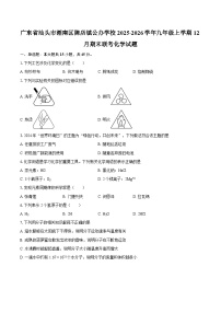 广东省汕头市潮南区陈店镇公办学校2025-2026学年九年级上学期12月期末联考化学试题-自定义类型
