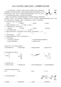 2025~2026学年上海松江区初二上学期期中化学试卷（有答案解析）