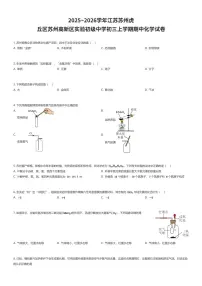 2025~2026学年江苏苏州虎丘区苏州高新区实验初级中学初三上学期期中化学试卷（有答案解析）