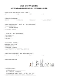 2025~2026学年上海浦东新区上海民办进德外国语中学初三上学期期中化学试卷（有答案解析）
