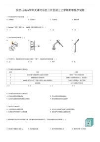 2025~2026学年天津河东区二片区初三上学期期中化学试卷（有答案解析）